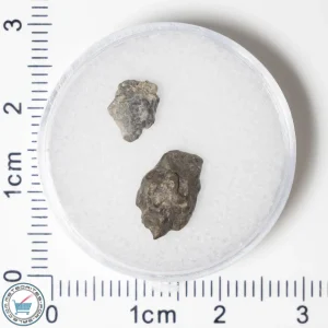 Laâyoune 002 Lunar Meteorite 0.51g