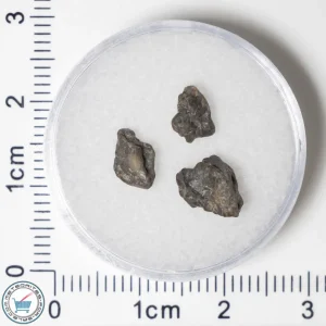 Laâyoune 002 Lunar Meteorite 0.50g