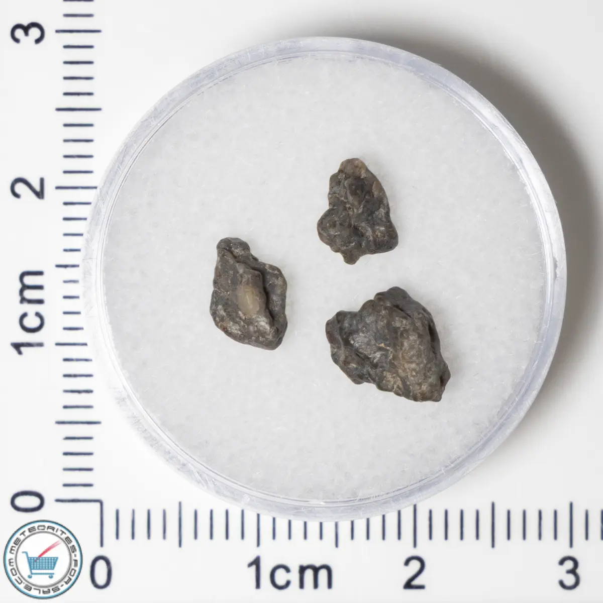 Laâyoune 002 Lunar Meteorite 0.50g