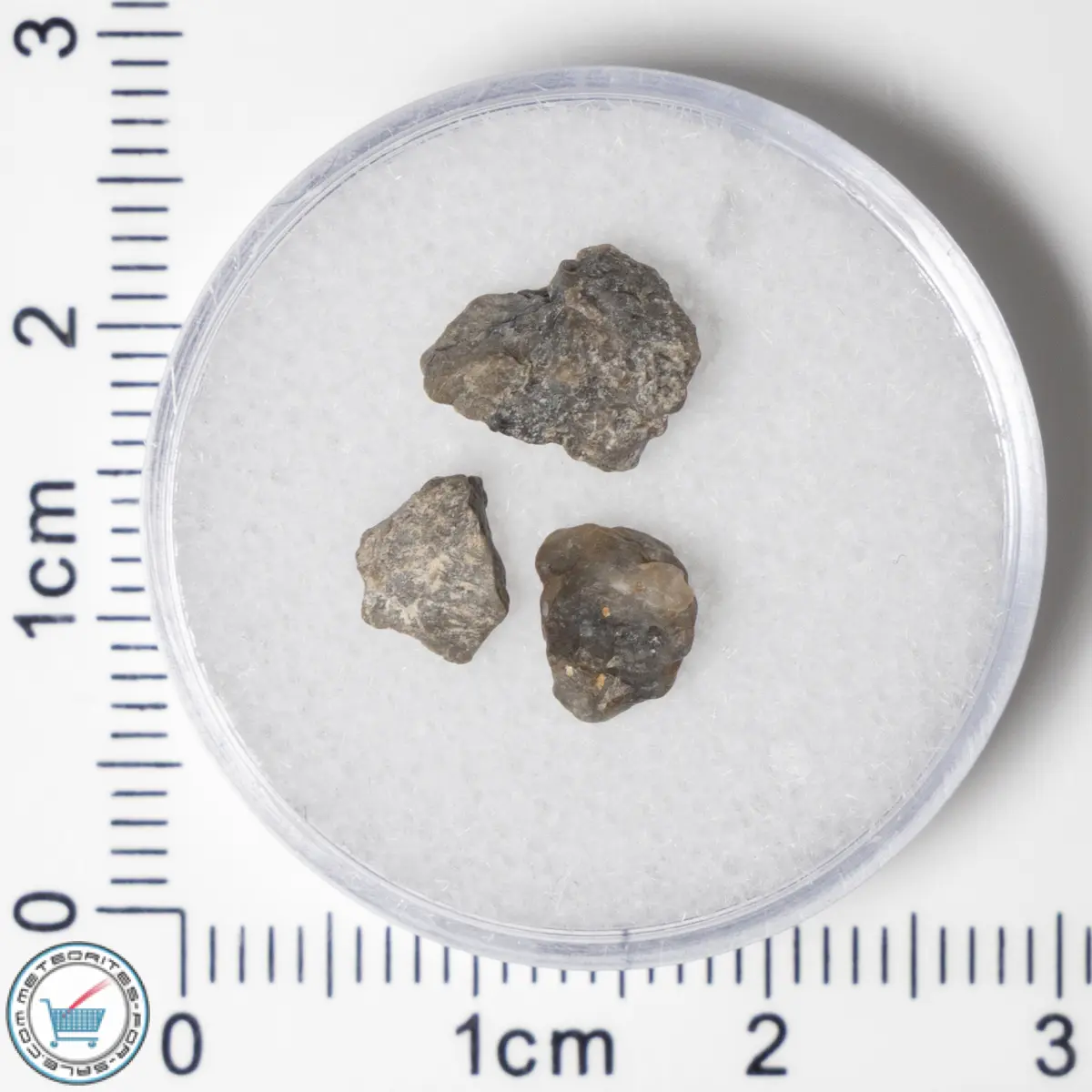 Laâyoune 002 Lunar Meteorite 0.55g