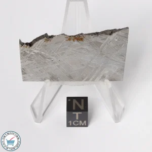 Muonionalusta Meteorite 31.8g Slice