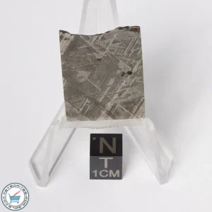 Muonionalusta Meteorite 11.4g Slice