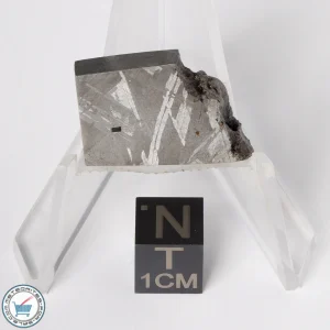 Muonionalusta Meteorite 12.9g Slice