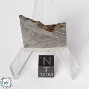 Muonionalusta Meteorite 8.4g Slice