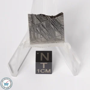 Muonionalusta Meteorite 7.5g Slice