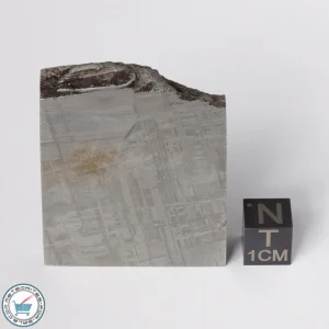 Muonionalusta Meteorite 71.6g Slice