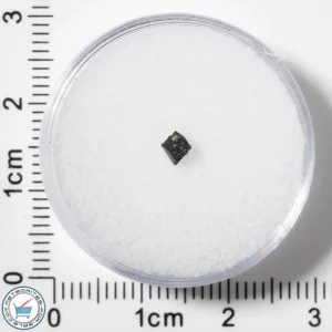 Murchison CM2 Meteorite 0.023g Fragment