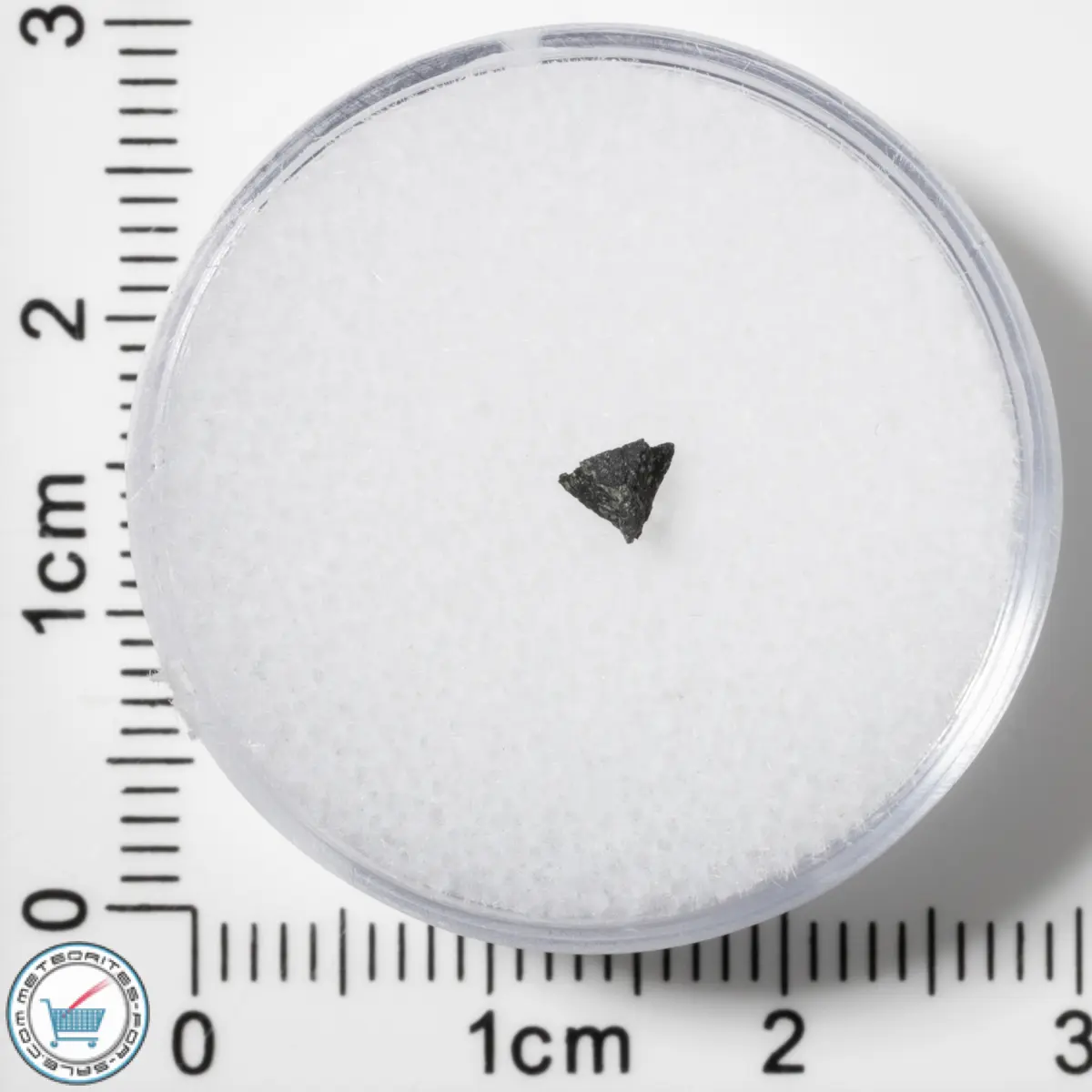 Murchison CM2 Meteorite 0.020g Fragment