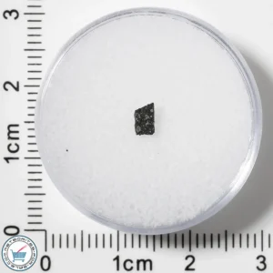 Murchison CM2 Meteorite 0.017g Fragment