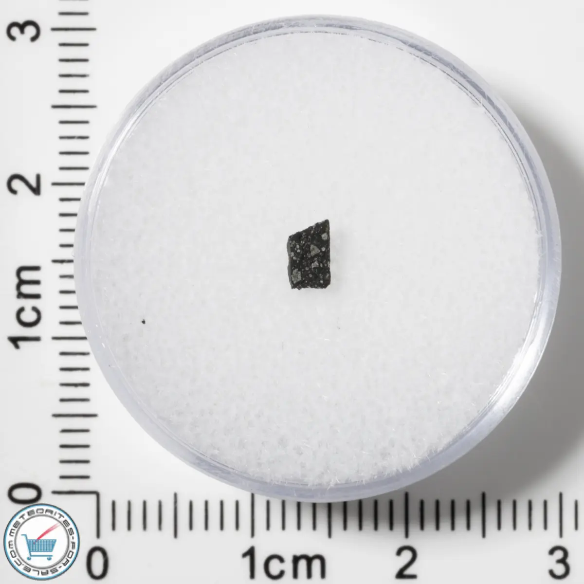 Murchison CM2 Meteorite 0.017g Fragment