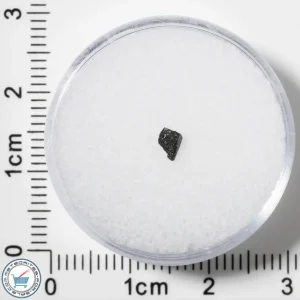 Murchison CM2 Meteorite 0.016g Fragment