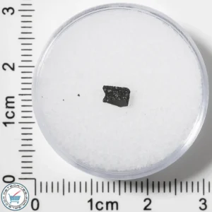 Murchison CM2 Meteorite 0.039g Fragment
