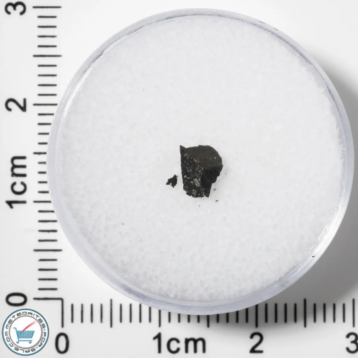 Murchison CM2 Meteorite 0.034g Fragment