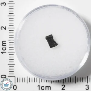 Murchison CM2 Meteorite 0.060g Fragment