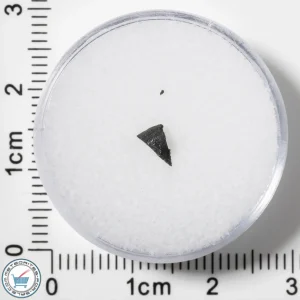 Murchison CM2 Meteorite 0.038g Fragment