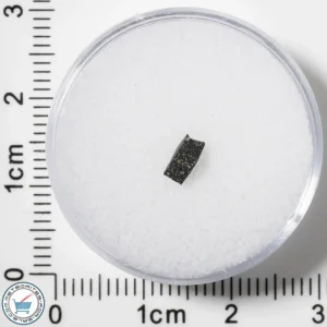 Murchison CM2 Meteorite 0.043g Fragment