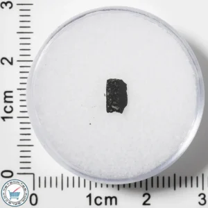 Murchison CM2 Meteorite 0.039g Fragment