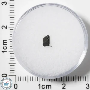 Murchison CM2 Meteorite 0.031g Fragment