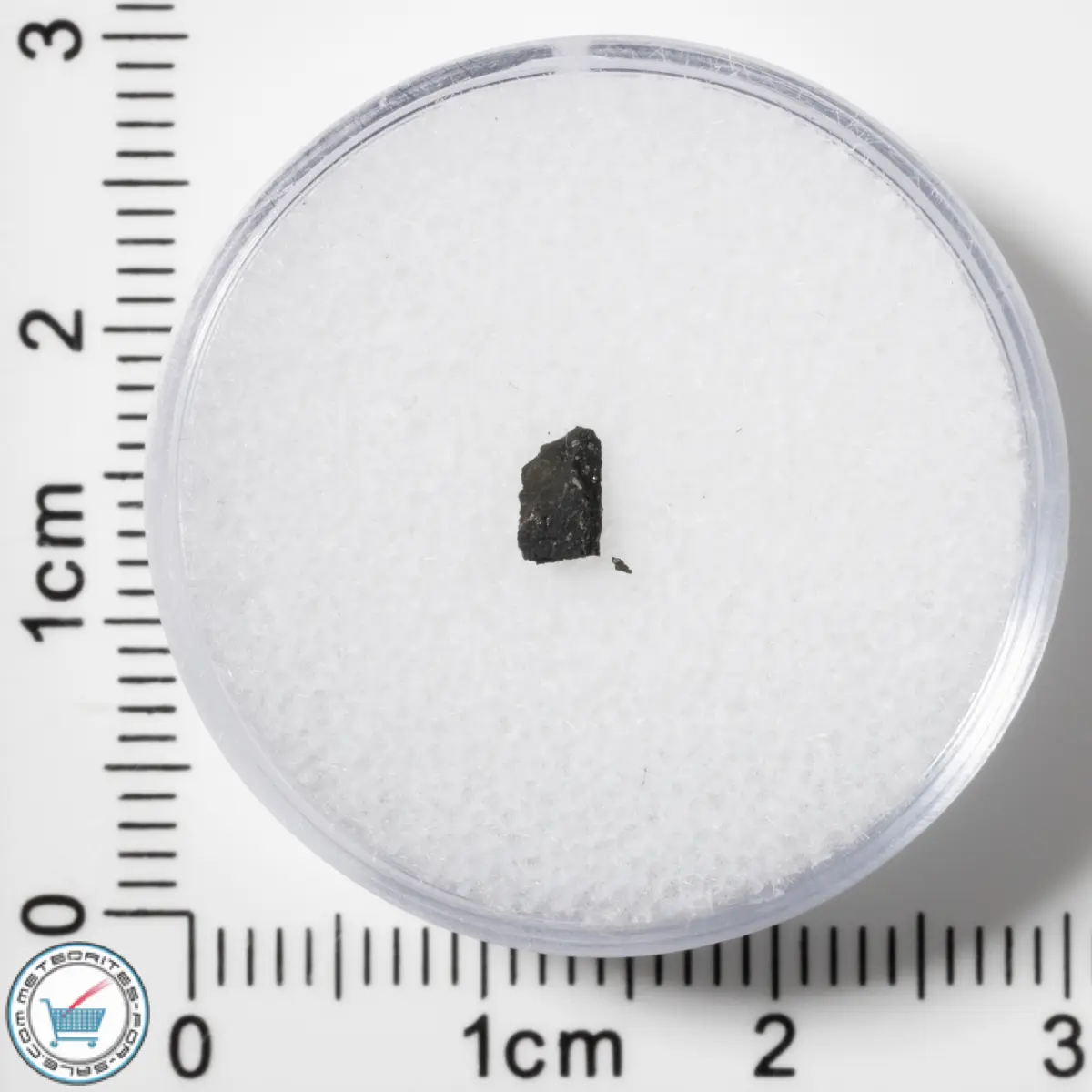 Murchison CM2 Meteorite 0.031g Fragment