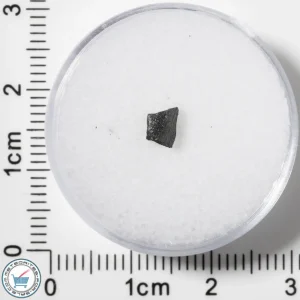 Murchison CM2 Meteorite 0.063g Fragment