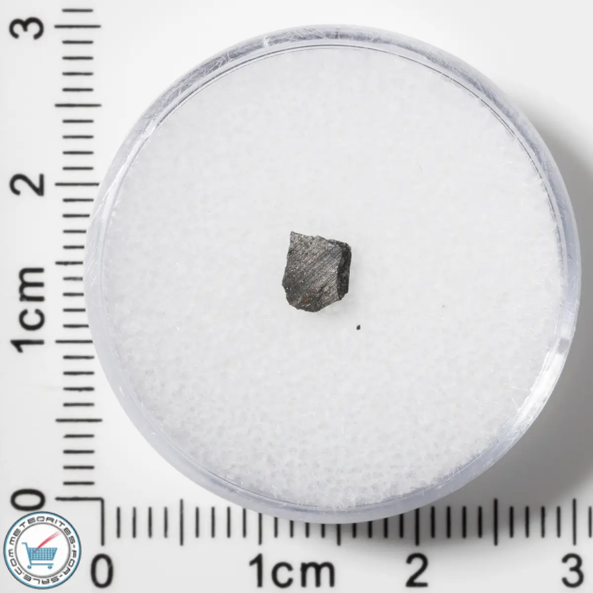 Murchison CM2 Meteorite 0.065g Fragment