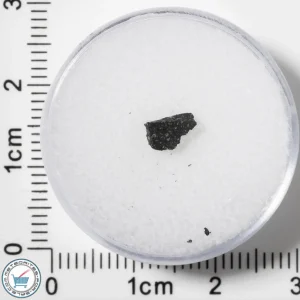 Murchison CM2 Meteorite 0.067g Fragment