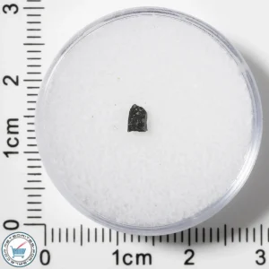 Murchison CM2 Meteorite 0.020g Fragment