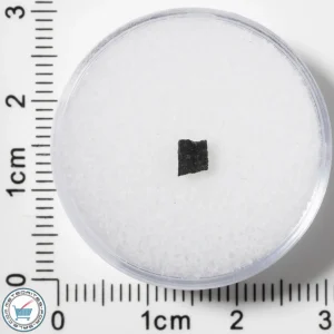Murchison CM2 Meteorite 0.054g Fragment