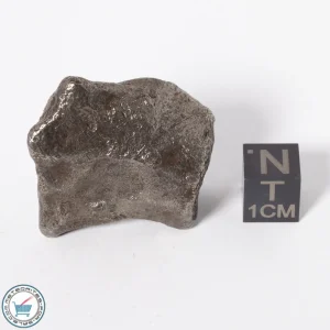 Sikhote-Alin Meteorite 56.9g