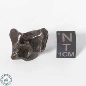 Sikhote-Alin Meteorite 15.1g