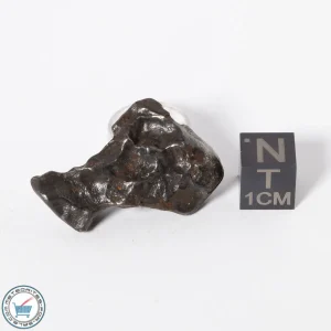 Sikhote-Alin Meteorite 18.8g