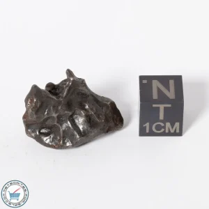 Sikhote-Alin Meteorite 11.1g