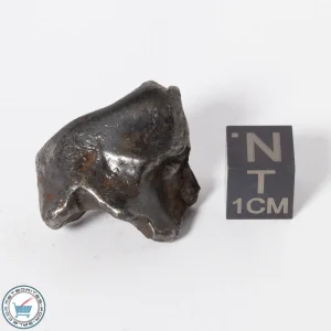Sikhote-Alin Meteorite 24.5g