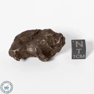 Sikhote-Alin Meteorite Shrapnel 55.9g