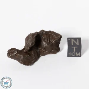 Sikhote-Alin Meteorite Shrapnel 34.2g