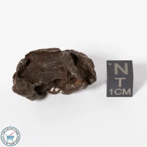 Sikhote-Alin Meteorite Shrapnel 30.4g