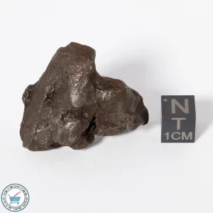 Sikhote-Alin Meteorite Shrapnel 45.9g