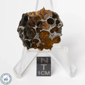 Sericho Pallasite Meteorite 9.8g