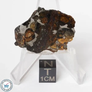 Sericho Pallasite Meteorite 11.7g