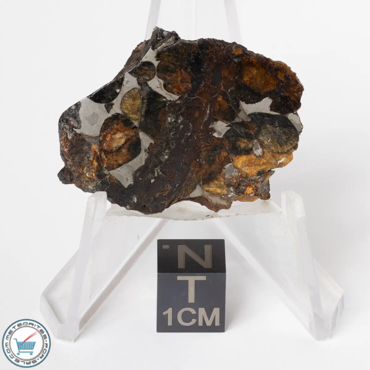 Sericho Pallasite Meteorite 11.7g