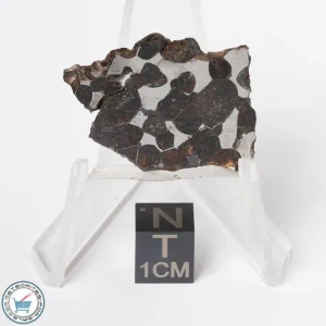 Sericho Pallasite Meteorite 6.7g