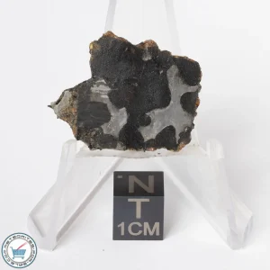 Sericho Pallasite Meteorite 5.3g