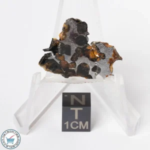 Sericho Pallasite Meteorite 3.8g