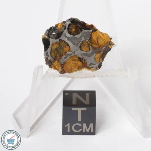 Sericho Pallasite Meteorite 2.5g