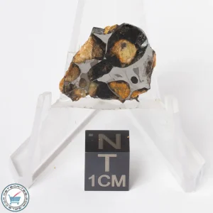 Sericho Pallasite Meteorite 3.0g