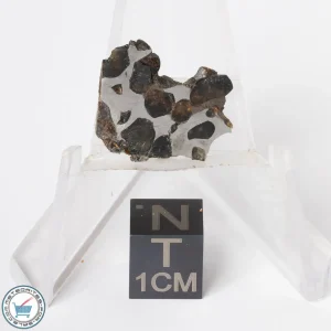 Sericho Pallasite Meteorite 2.2g