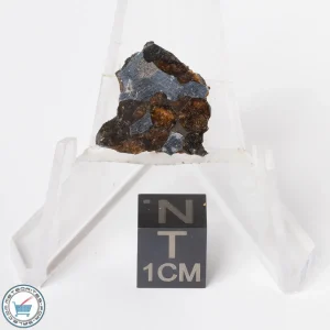 Sericho Pallasite Meteorite 1.8g