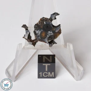 Sericho Pallasite Meteorite 2.3g