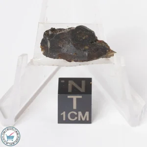 Sericho Pallasite Meteorite 2.2g