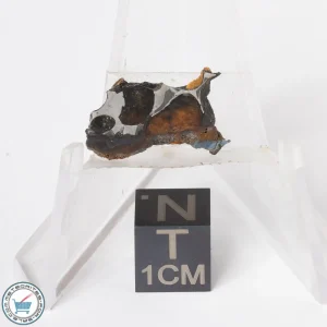 Sericho Pallasite Meteorite 1.0g